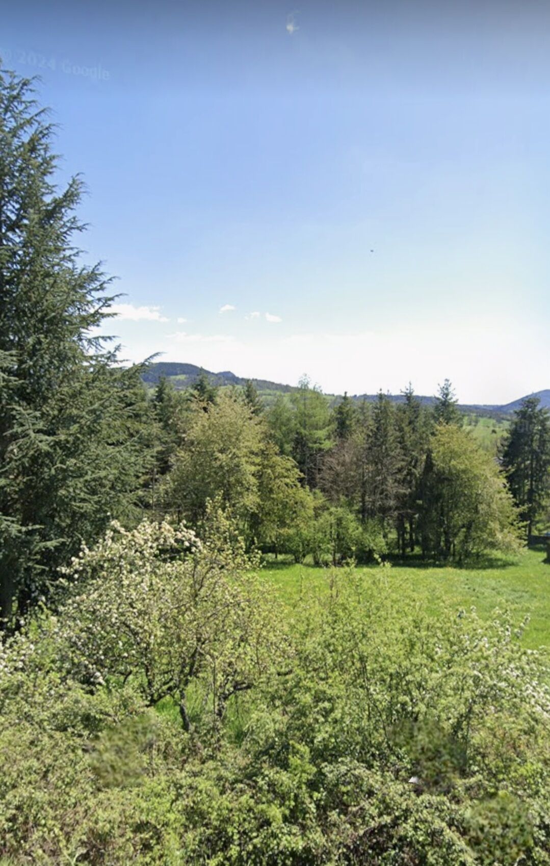 Image description