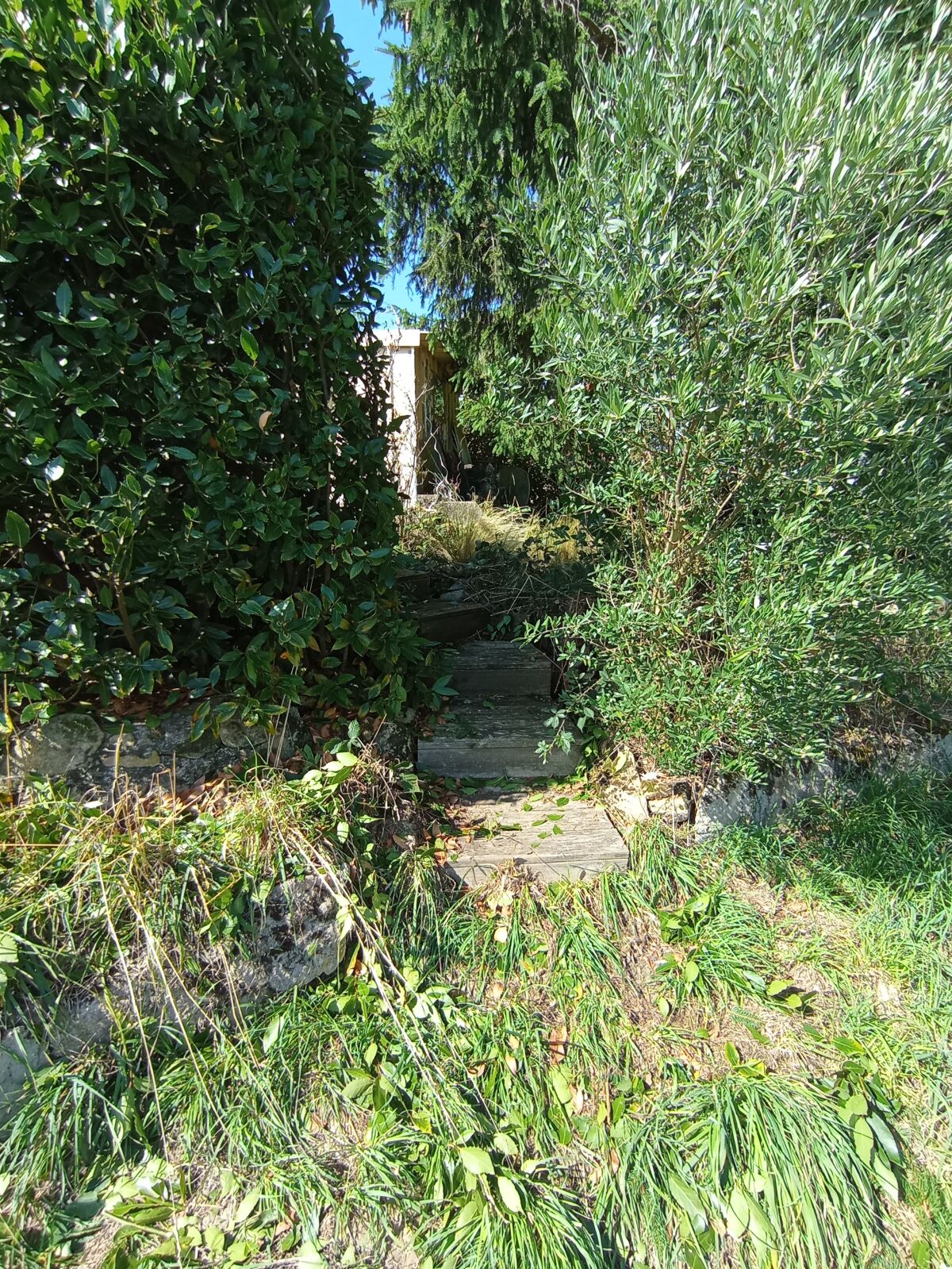 Image description